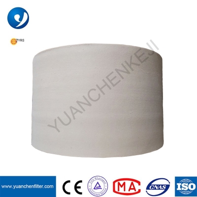 yuanchen tùy chỉnh 800gsm 900gsm PTFE xử lý PTFE sợi vải nỉ có kim