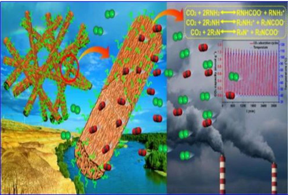 Mối quan hệ giữa màng và CO2